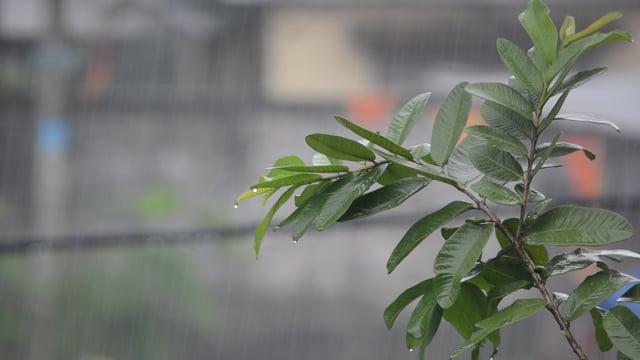 আজ ঢাকাসহ ১৮ অঞ্চলে ঝড় হতে পারে